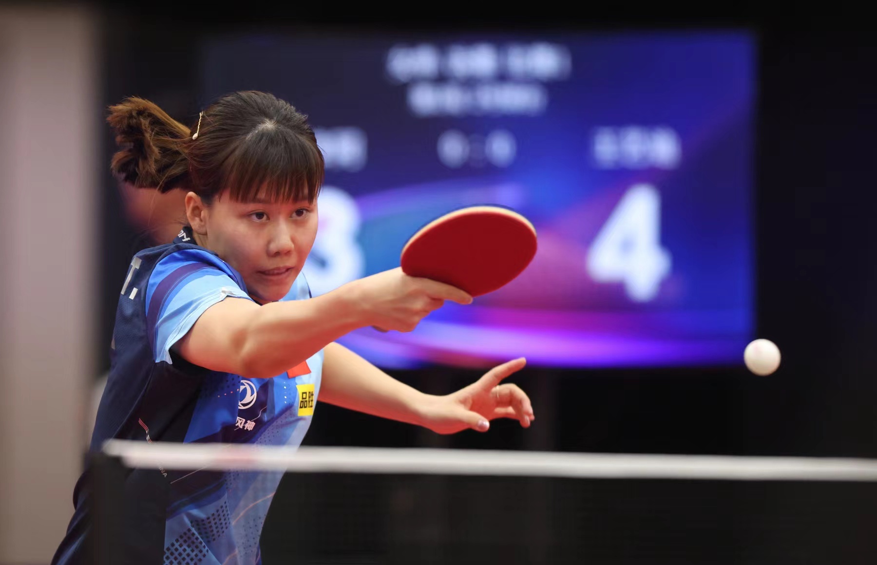 從J聯賽新 從J聯賽新