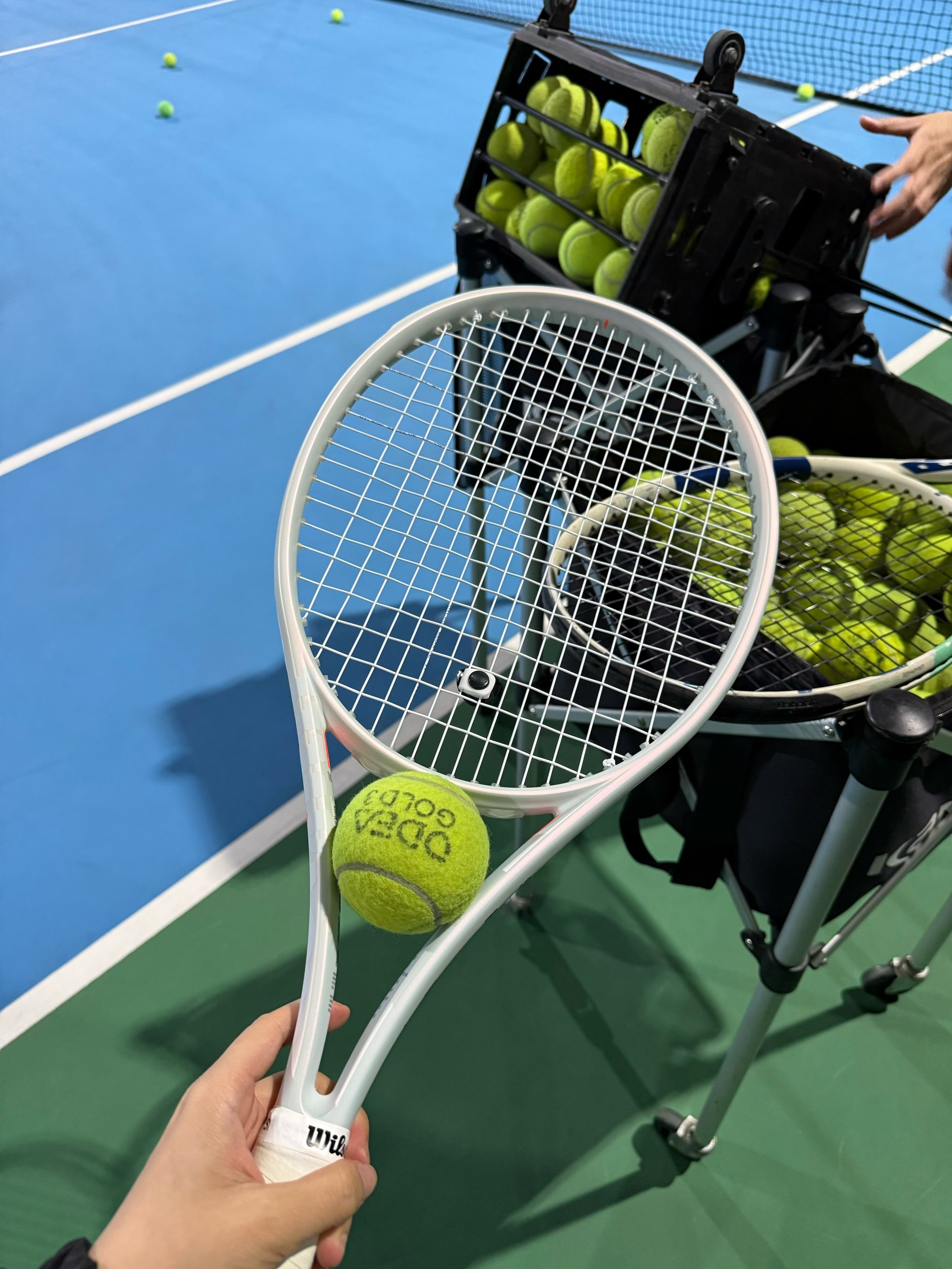 更多关注 更多关注